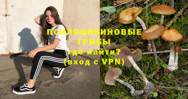 кокс Богородицк