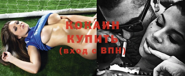 кокс Богородицк