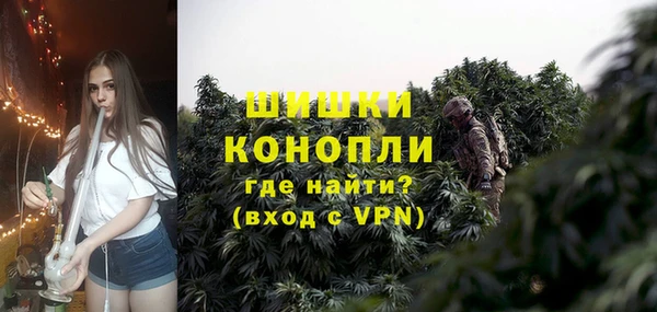молекула духа Бородино
